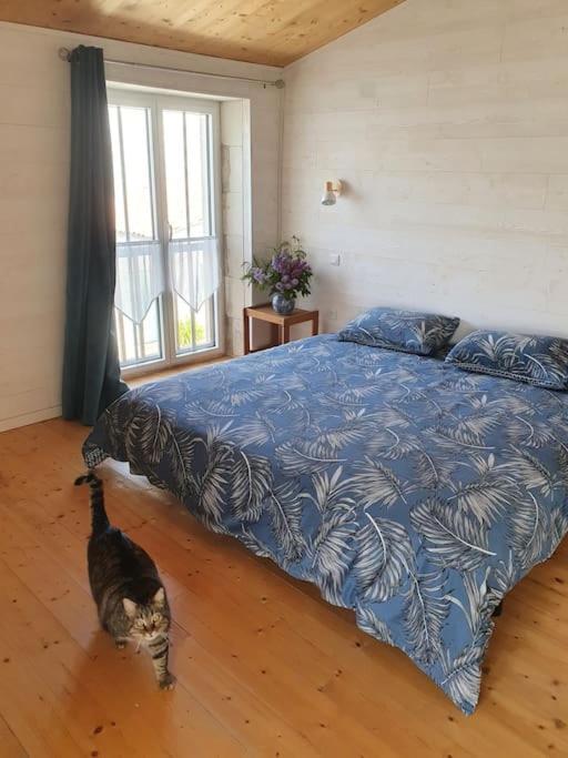 Le Chai Rit Villa Rivedoux-Plage Ngoại thất bức ảnh
